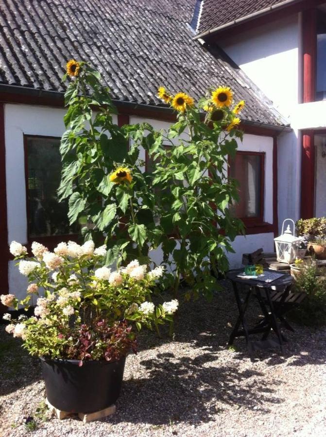 Praestogaard Bed & Breakfast Dış mekan fotoğraf