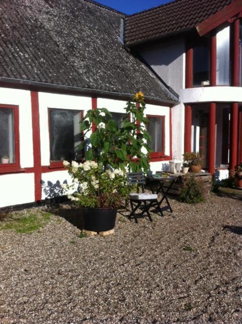 Praestogaard Bed & Breakfast Dış mekan fotoğraf