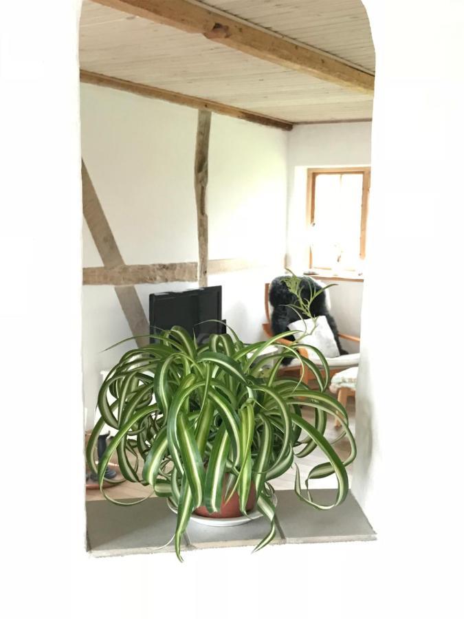 Praestogaard Bed & Breakfast Dış mekan fotoğraf